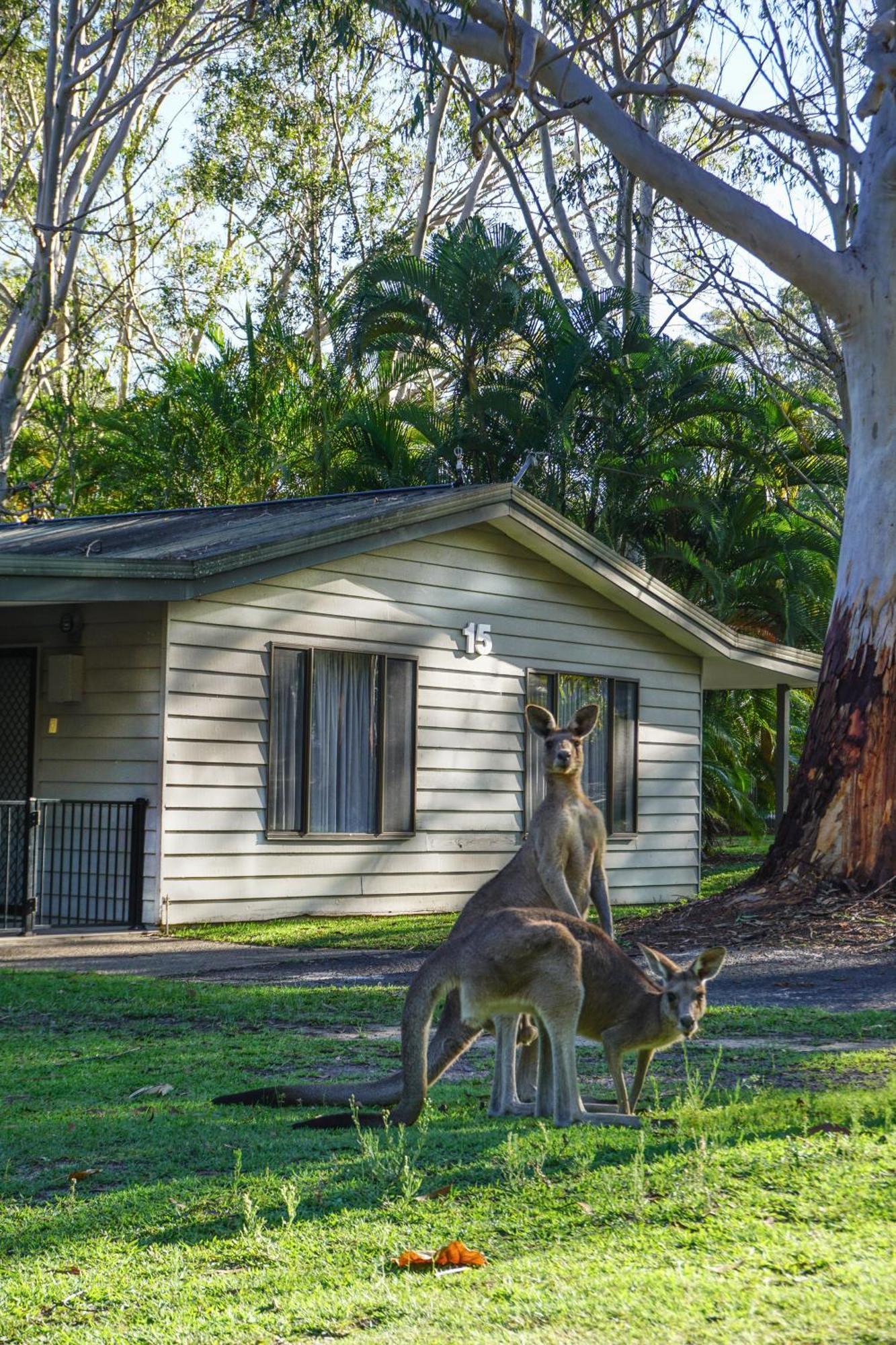 Big4 Noosa North Shore Εξωτερικό φωτογραφία